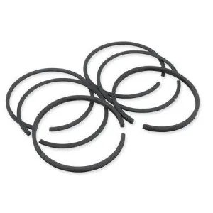 Hastings Moly Rings Twin Cam 95 1550 cc. for Harley Davidson 1999-2008 Twin Cam models  .005 in.